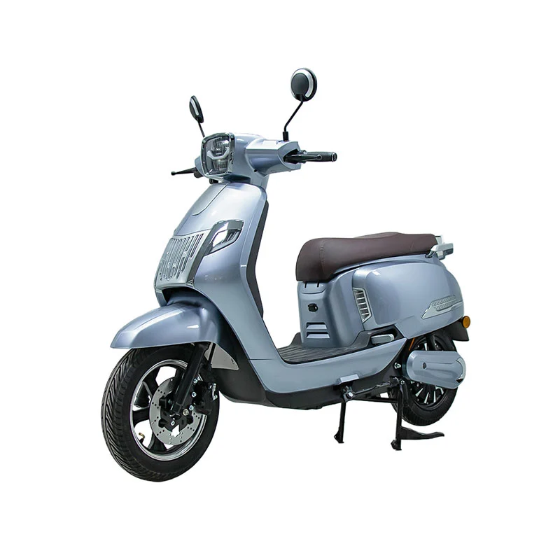 Electric Motorbike adultis X inch 800W motorcycle