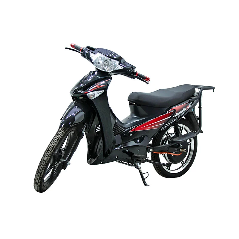 Electric Motorbike pro Road cum XVII inch