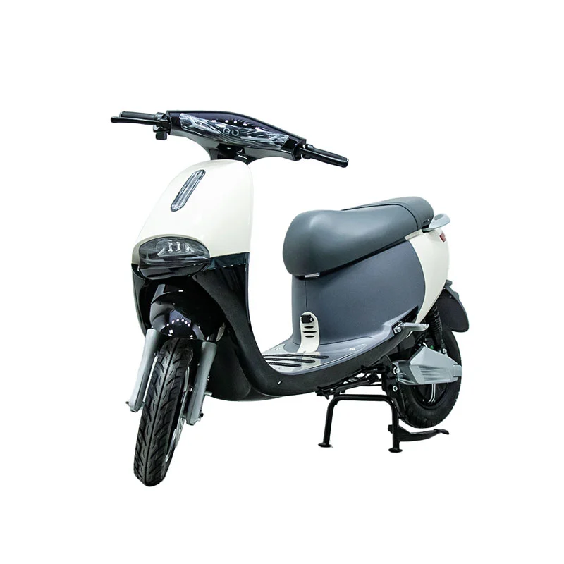Electric motorbike cum X inch 1000W motorcycle