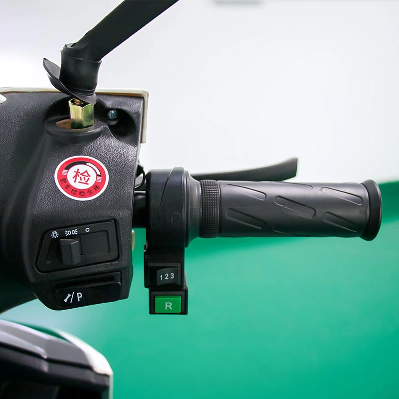 Long Range Waterproof Moto Dual Electric Motorcycle